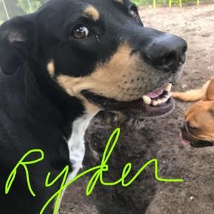 Meet your Posher, Cecilia